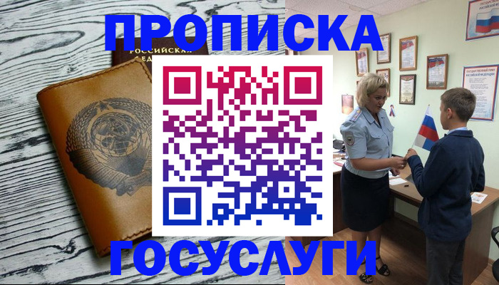 прописка гарантия в Камышлове